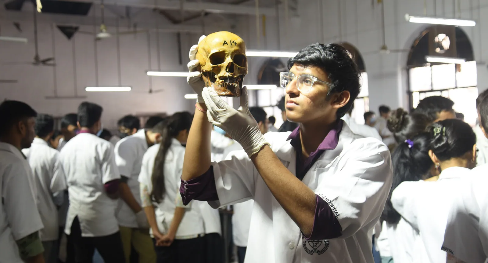 A practical class underway in the Anatomy Department